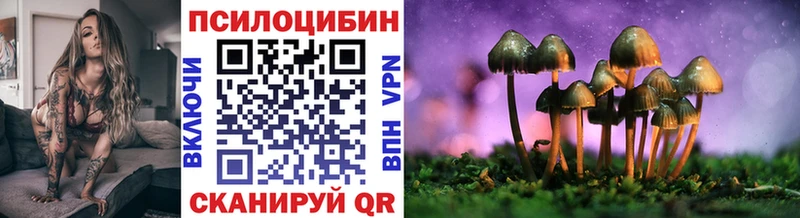 купить наркотики цена Мышкин Галлюциногенные грибы прущие грибы
