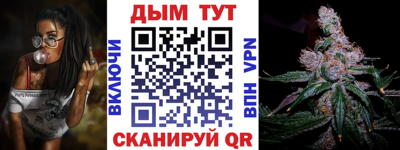 Каннабис план  где можно купить наркотик  Мышкин 